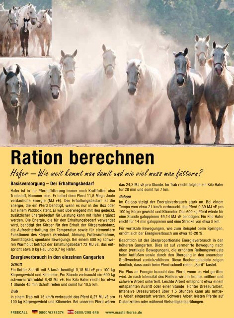 Masterhorse Hauptkatalog