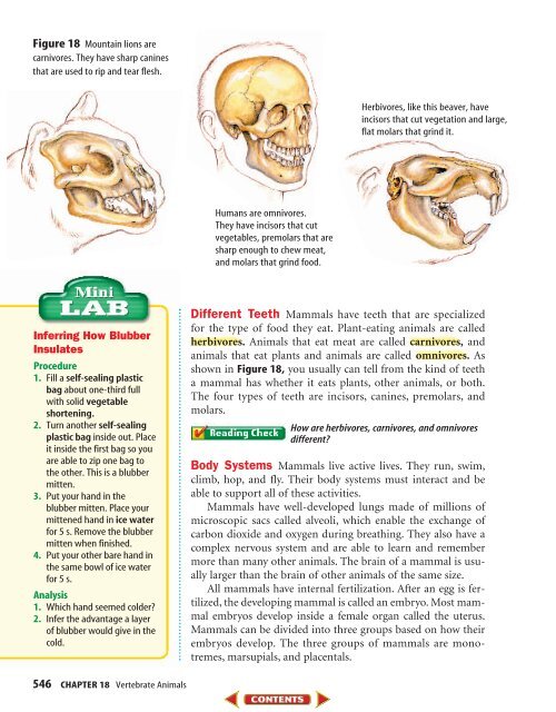 Chapter 18: Vertebrate Animals