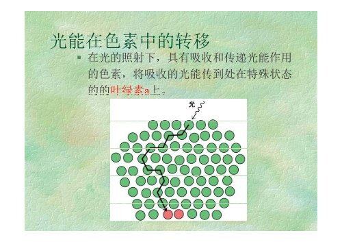 ç¬¬äºç« ç©è´¨ä»£è°¢ä¸è½éè½¬æ¢ - åäº¬å¤§å­¦çå½ç§å­¦å­¦é¢