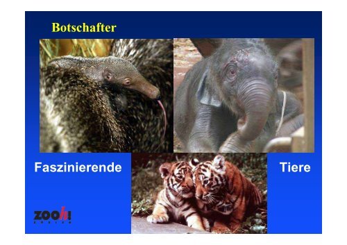 Was erwartet der Zoodirektor von den ZoofÃ¶rderern - Tagungen ...