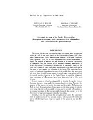 Systematic revision of the Family Micrococcidae (Homoptera ...