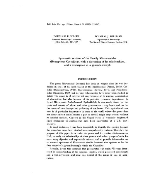 Systematic revision of the Family Micrococcidae (Homoptera ...