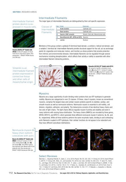 CST Guide: