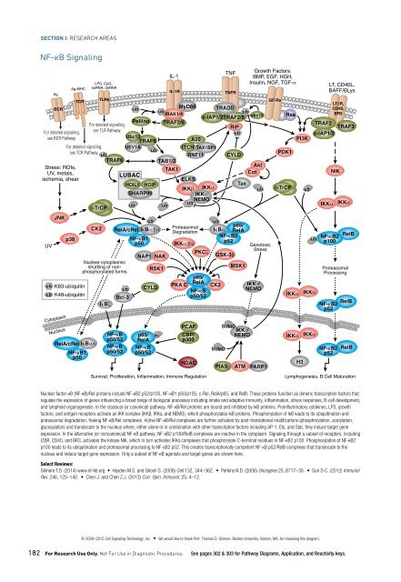 CST Guide: