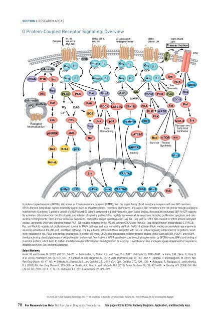 CST Guide: