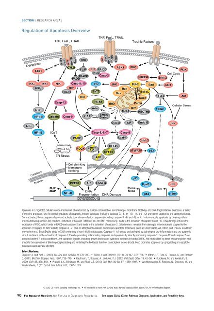 CST Guide: