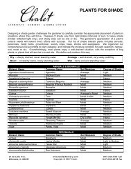 Fact Sheet Plants for Shade - Chalet Nursery