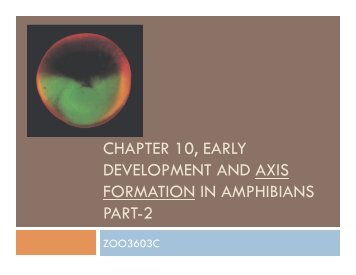 chapter 10, early development and axis formation in amphibians part-2