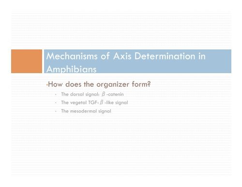 chapter 10, early development and axis formation in amphibians part-2