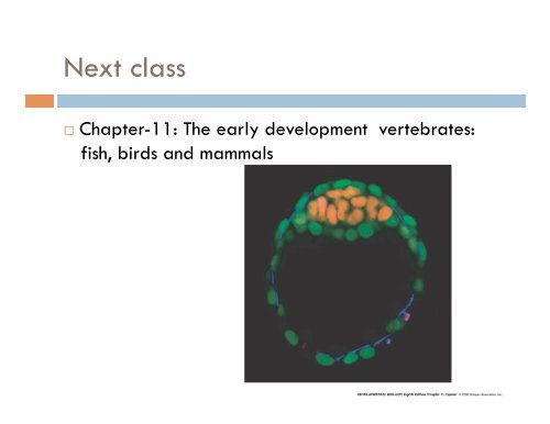 chapter 10, early development and axis formation in amphibians part-2