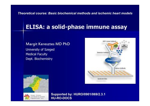 elisa-a-solid-phase-immune-assay