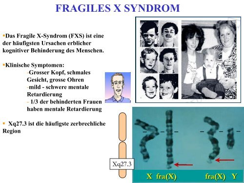 Chromosom