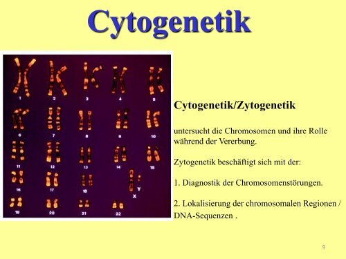 Chromosom