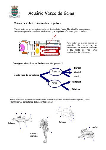 Como nadam os peixes - AquÃ¡rio Vasco da Gama