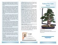 Fukien Tea Care Sheet