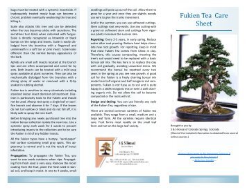 Fukien Tea Care Sheet