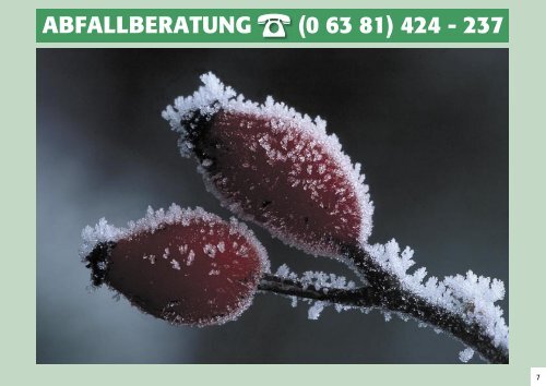 ABFALLBERATUNG (0 63 81)  - Verbandsgemeinde Wolfstein