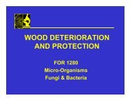 WOOD DETERIORATION AND PROTECTION