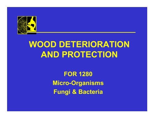 WOOD DETERIORATION AND PROTECTION