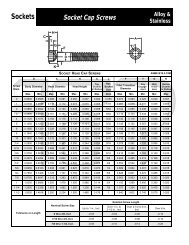 Stainless Socket Cap Screws