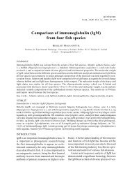 Comparison of immunoglobulin (IgM) from four fish species