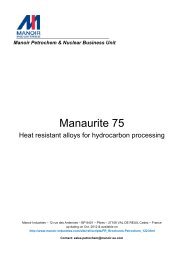 Manaurite 75 - Manoir Industries