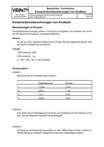 Konzentrationsberechnungen von Ansätzen - ViBiNeT