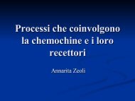 Processi che coinvolgono la chemochine e i loro recettori