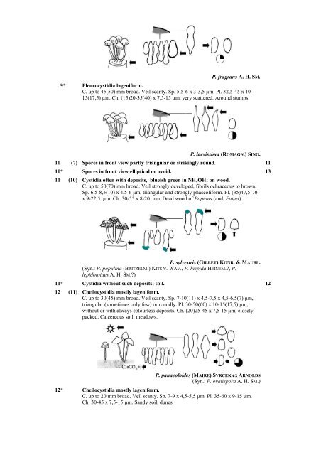 Key to Psathyrella