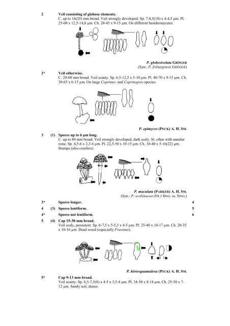 Key to Psathyrella