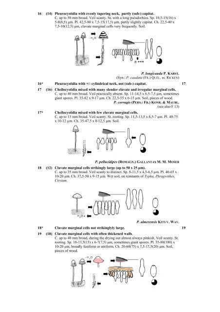 Key to Psathyrella