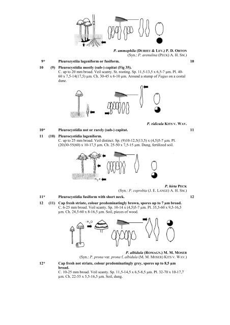 Key to Psathyrella