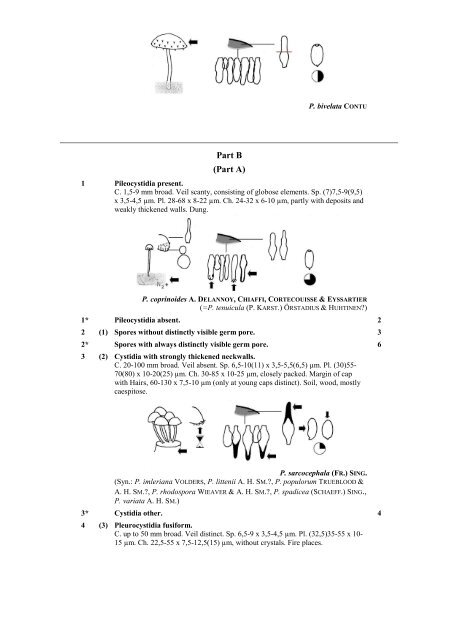 Key to Psathyrella