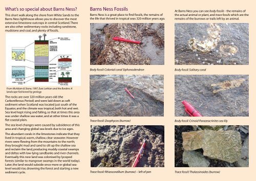A4 pdf version - Edinburgh Geological Society