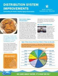 Distribution System Improvement Charge Fact Sheet - American Water