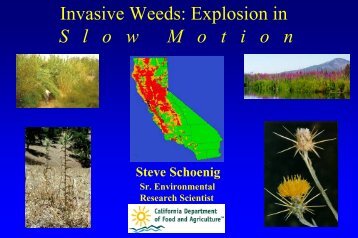 Invasive Plants - Sacramento River Watershed Program