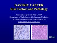 GASTRIC CANCER Risk Factors And Pathology