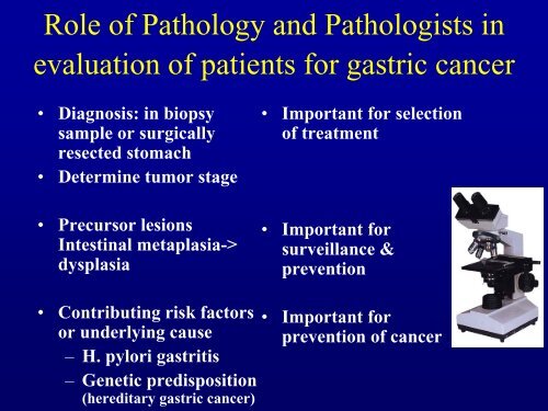 GASTRIC CANCER Risk Factors And Pathology