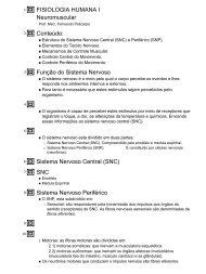 FunÃ§Ã£o do Sistema Nervoso Sistema Nervoso Central (SNC)