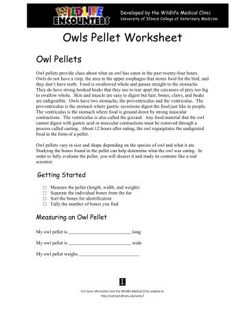 Owls Pellet Worksheet - University of Illinois College of Veterinary ...