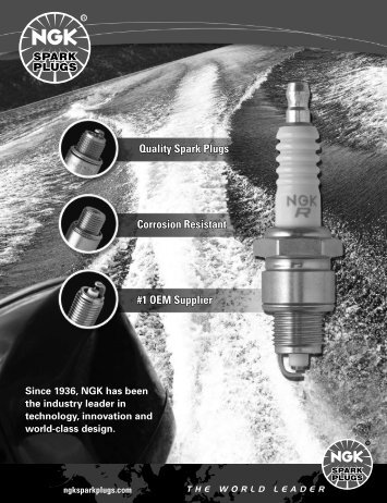 NGK Spark Plugs - Greatwhitemarine.net