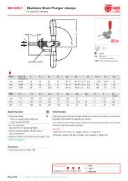 Standard sheet GN 843.1 PDF - Ganter Griff