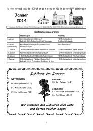 Januar 2014 - Wettringen