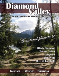 Diamond Valley - Municipal District of Foothills