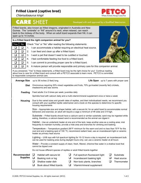 Petco top lizard food