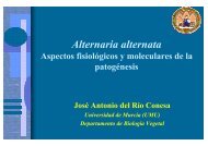 Alternaria alternata: Aspectos fisiológicos de la patogénesis - imida