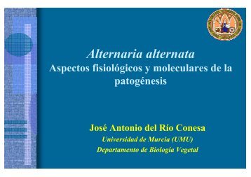 Alternaria alternata: Aspectos fisiológicos de la patogénesis - imida