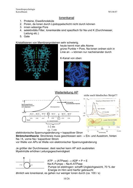 Neurobiopsychologie - Seelensammler