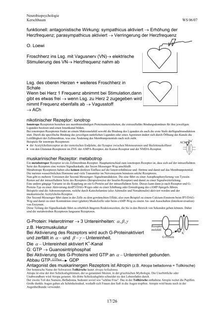 Neurobiopsychologie - Seelensammler