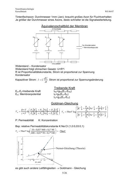 Neurobiopsychologie - Seelensammler